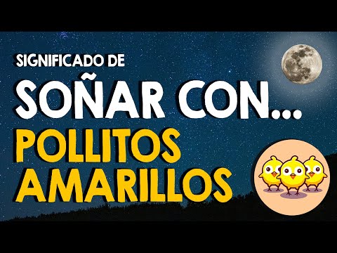 ¿Qué significa soñar con pollitos amarillos? 🐥 Pequeños, recién nacidos y vivos 🐥