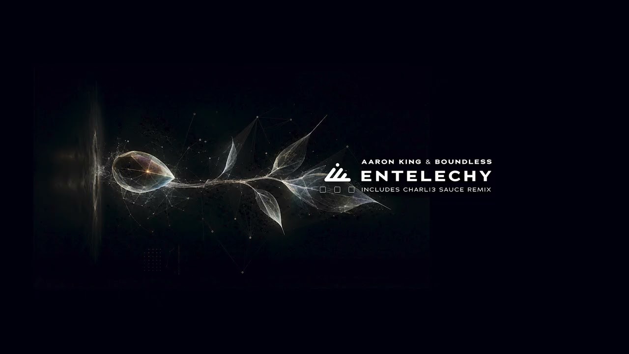Watch Boundless & Aaron King - Entelechy on YouTube Watch Boundless & Aaron King - Entelechy on YouTube