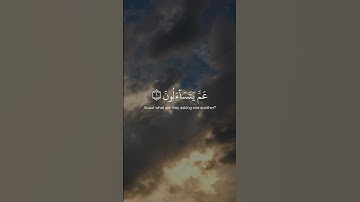 عَمَّ يتساءلون عن النبإ العظيم || القارئ:عبدالرحمن مسعد