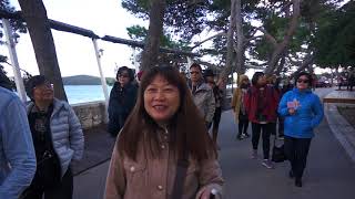 克羅埃西亞十日遊第六天史東STON(科楚拉島KORCULA)2018-0118P8
