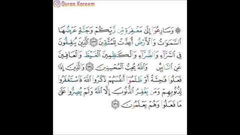 القارئ ماهر المعيقلي - سورة آل عمران - من الآية 133 إلى الآية 135