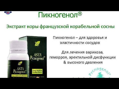 Пикногенол укрепляет СОСУДЫ, повышает их ЭЛАСТИЧНОСТЬ, необходим при ГИПЕРТОНИИ / Фролов Ю.А.