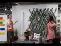 Easy tips for creating privacy in your backyard Easy tips for creating privacy in your backyard