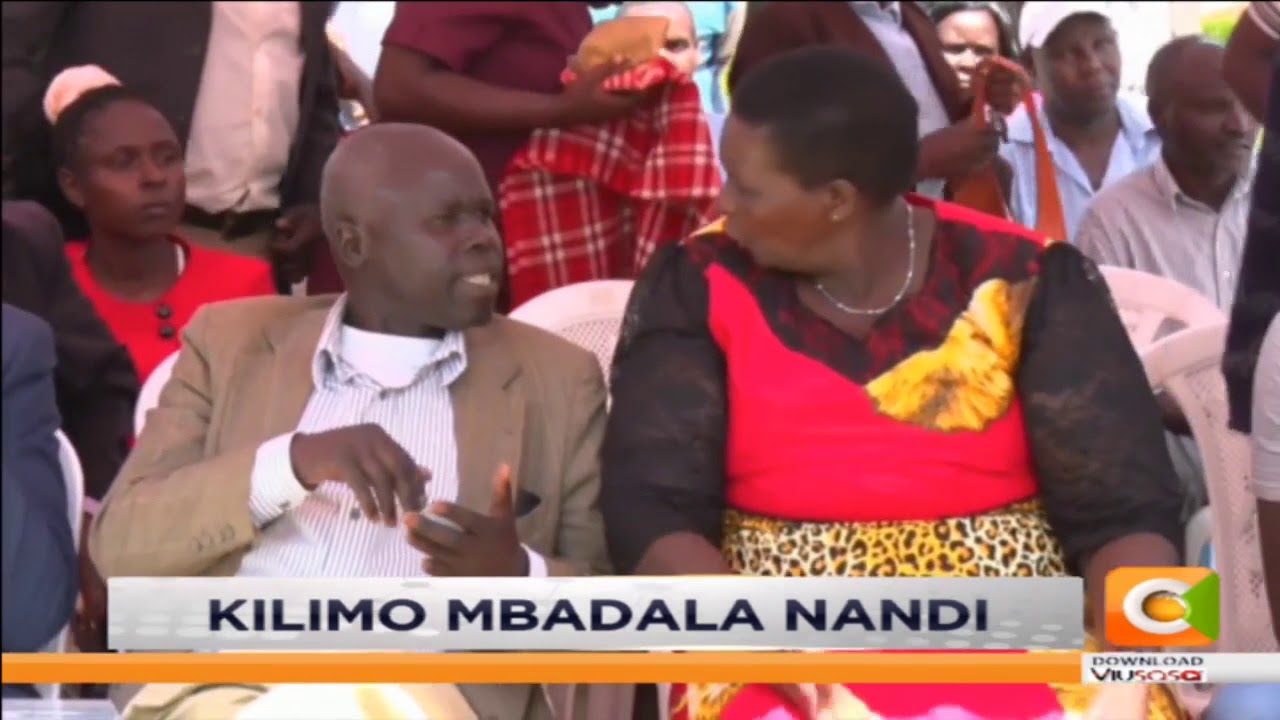 Wakulima Nandi wanatakiwa kutafuta mimea mbadala kando na mahandi