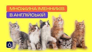 картинка: Множина іменників в англійській — раз і назавжди! Просте пояснення з прикладами