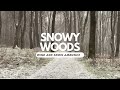 Snowfall in the Forest: Relaxing Music for a Winter's Eve