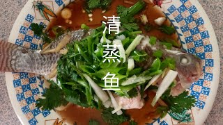 清蒸鱼 | Steamed Fish | Qing Zheng Yu