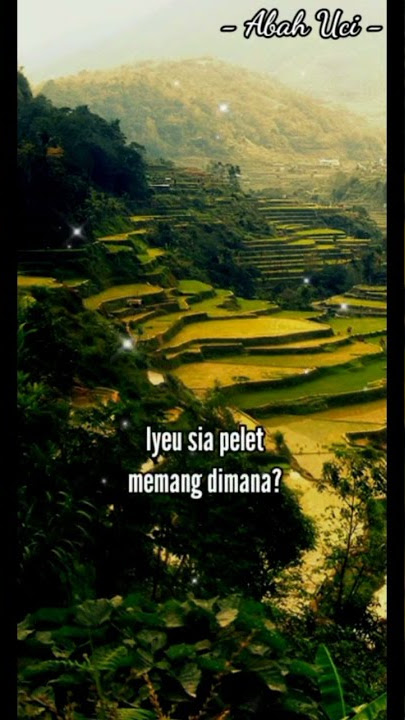 Lucu jasa ! Abah Uci dongeng Santri melet #shorts #shortsvideo #uas #abahuci #ulama #santri #short