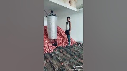 onion storage