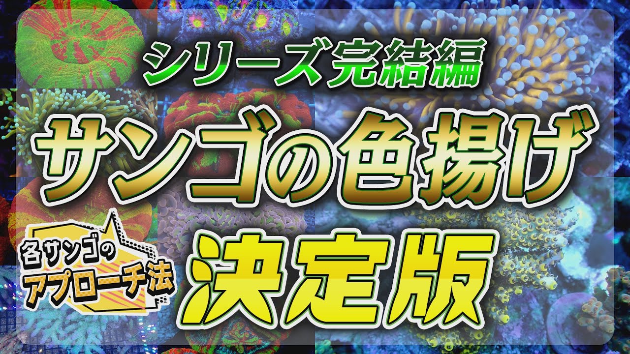 必見！ サンゴの色揚げ大全 シリーズ③ 蛍光タンパク質へのアプローチ【2023年7月号 vol.2】