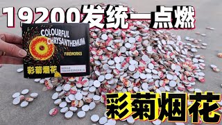 Spend 1800 yuan to buy 200 boxes of colorful chrysanthemum fireworks, a total of 19200 rounds