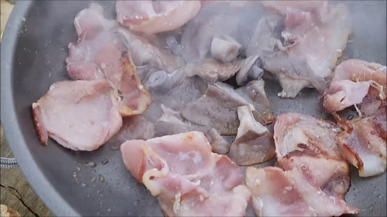 Blewits & Bacon in the wood 💜 