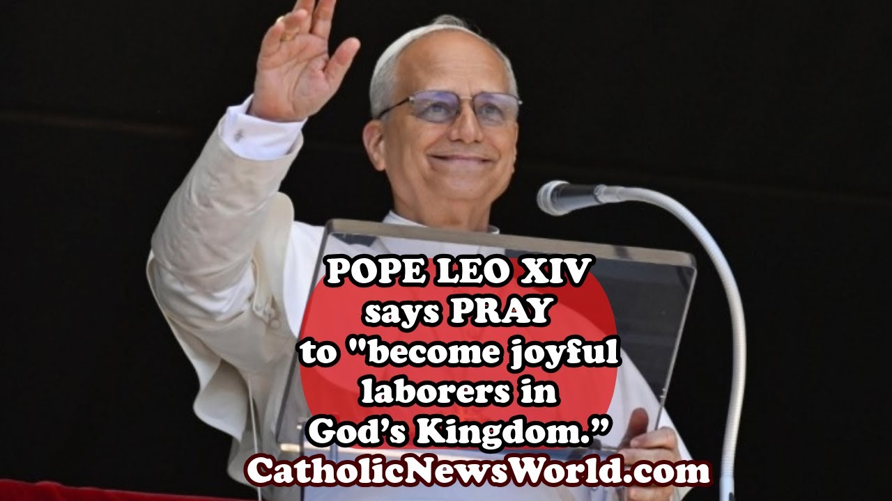 POPE LEO XIV Last Angelus before Vacation says "God Needs You to be a ...