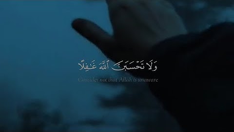 ولا تحسبن الله غافلا عما يعمل الظالمون تلاوه هادئه للقارئ عبد الرحمن مسد Quran