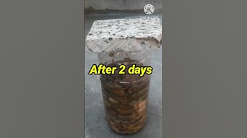 Make easy and free Organic liquid fertilizer from kitchen wastes #shorts