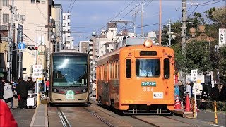 令和2年 元日　住吉大社前の阪堺電車　Hankai Tramway Sumiyoshi Station, New Year's Day 2020　(2020.1.1)