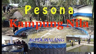 Pesona Kampung Ikan Nila Slilir Malang / Kuli Cinta Blusukan Eps 14