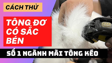 Cách thử tại nhà độ sắc bén của tông đơ cắt tóc trước khi đem mài tông đơ cắt tóc | Quang 3S