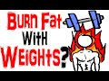 Weight Training VS Low Intensity Cardio  - Best Way to Burn Fat?