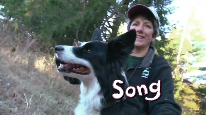 The Last Day of Martha Speaks on PBS Kids (October 2nd, 2022)