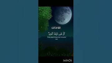 سورة العنكبوت #تلاوة هادئة #راحة نفسية #اكتب شيء تؤجر عليه #وصلي على النبي ❤️