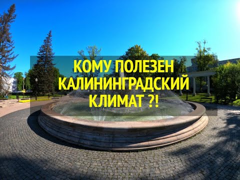 КОМУ ПОЛЕЗЕН КАЛИНИНГРАДСКИЙ КЛИМАТ