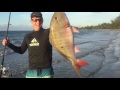 CATCHING HUGE PUERTO RICAN FISH FROM THE SHORE: Healy Outdoors