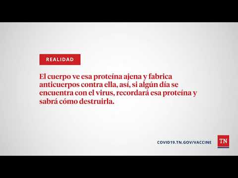 Video: Lo que necesita saber sobre las vacunas COVID: realidad frente a ficción