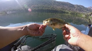 July 15, 2017 (morning- afternoon) gull lake: june lake loop, ca on
our last day we came to good ol' lake. out of all the years i have
fished this lake,...