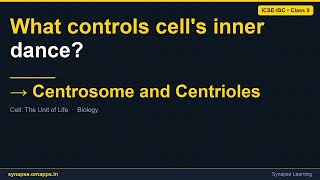 Centrosome and Centrioles | ICSE-ISC Class 9 Biology | Synapse