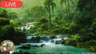 Relaxing Music Deep Sleep Music Meditation Music Stress Relief Music Calming, Study, Zen