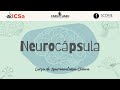 NEUROCÁPSULA: CICLO SUEÑO Y VIGILIA