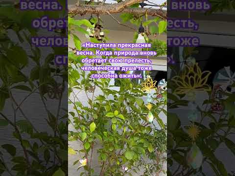 #весна #афоризмы #высказывания #мысли #путешествия #цитаты #nature #грузия #music #тбилиси #love