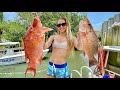 Tank Diving for DINNER! *Spearfishing, Cleaning fish & Cooking*