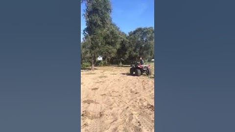 Polaris pulling logs