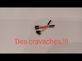 Cravaches facile  raliser pour les schleich