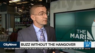 Cannabis Beer A Buzz Without The Hangover