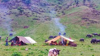 Himalayan Village Life|Shepherd Life In Winter||Iran Nomadic Shephard Lifestyle|Poor But Happy Life|