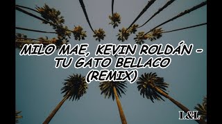 Milo Mae, Kevin Roldán - Tu Gato Bellaco (Remix) - Lyrics/Letra - (L&L)