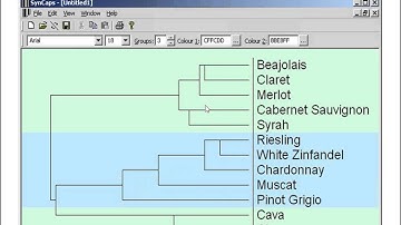 Card Sorting Part 2: Basic Analysis (Paper and Online Sorts)