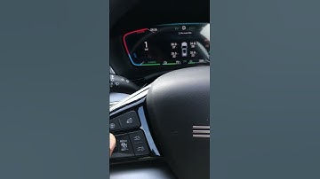 BYD sealion6 How to rotate the display👍#byd