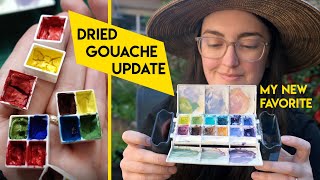 I used DRIED GOUACHE for 30 days in a row and learned this...