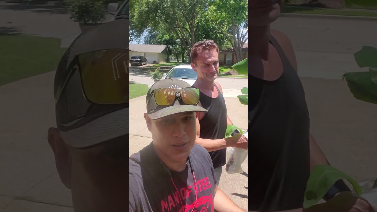 Kiko's banana plant factory