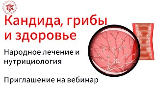 Кандида, грибы и здоровье. Как жить подольше. Приглашение на вебинар.