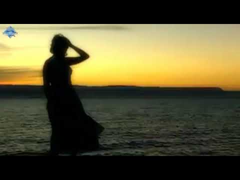         موسيقى اغنية بعيد عنك عزف سمير سرور