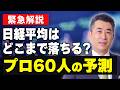 【プロ投資家60人にアンケート】日経平均はどこまで下がる?過去の紛争から読み解く大暴落の底値とプロ60人の相場予測!#日本株 #日経平均 #株価急落 #投資戦略 #中東情勢 #押し目買い #株式投資
