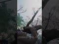 Where Winds Meet Gameplay #trending #shorts #youtubeshorts