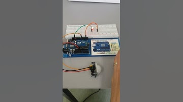 인체감지센서 동작 영상