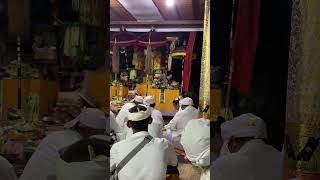 Ngabih dane Jro Dasaran katuran ring Pura Kahyangan Petasikan Suwung Kangin 🙏🏻😇 #tradisi #bali