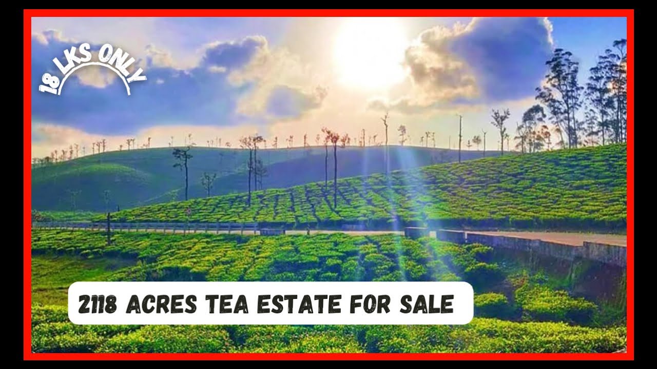 2118 Acres tea estate || plantation and factory for sale Coimbatore || Tamilnadu